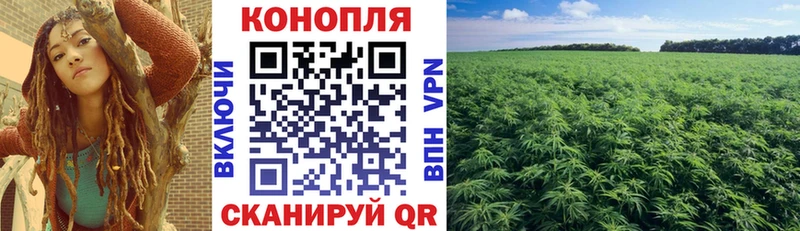 Купить закладки  Малгобек  Марихуана тримм 